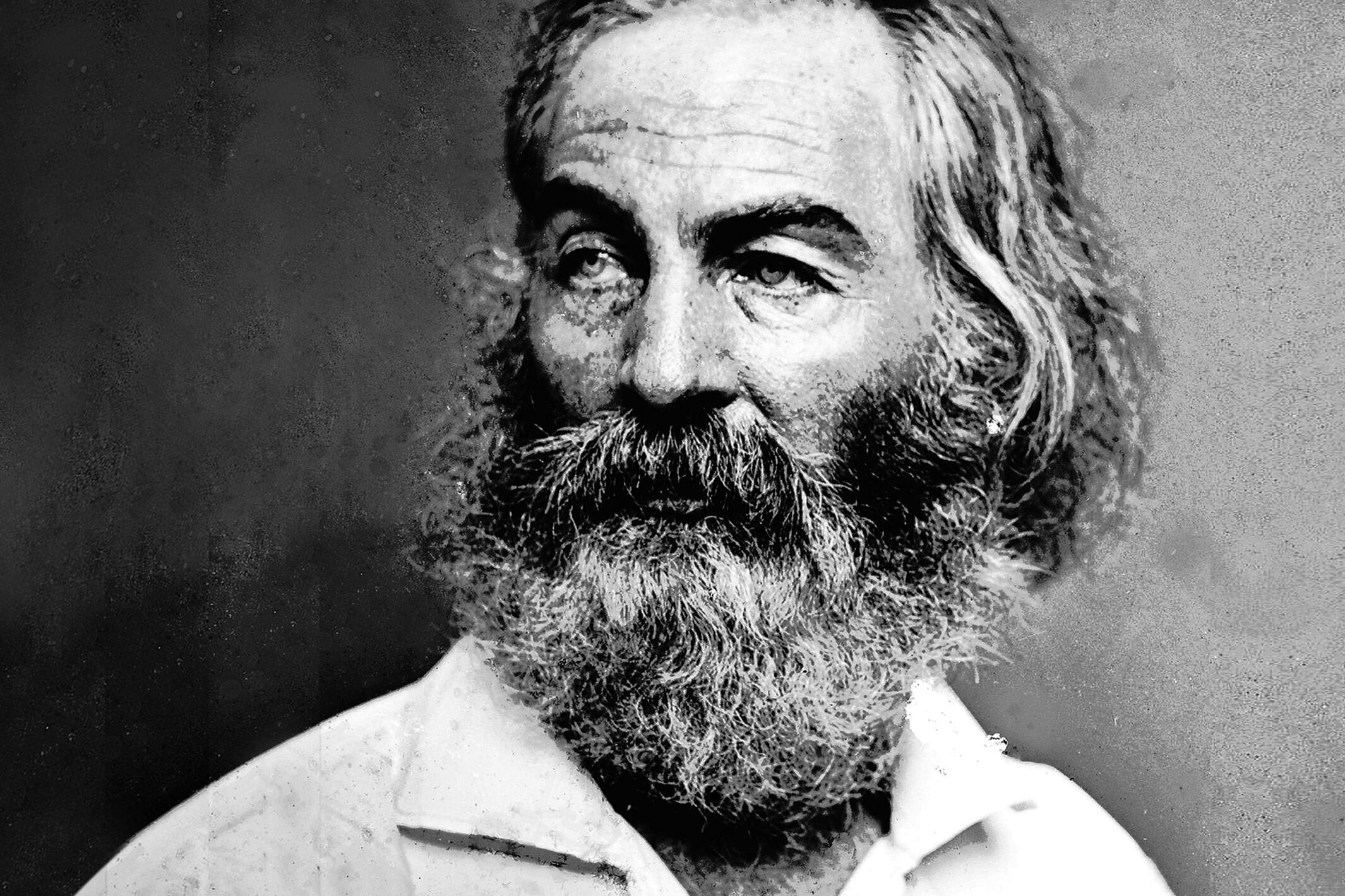 El traductor plantea que el argumento de la novela de Whitman tiene “un tinte dickensiano”.