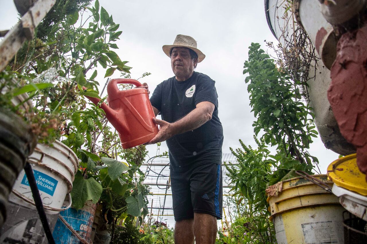 Carlos Briganti comenzó el proyecto en su terraza de Chacarita.