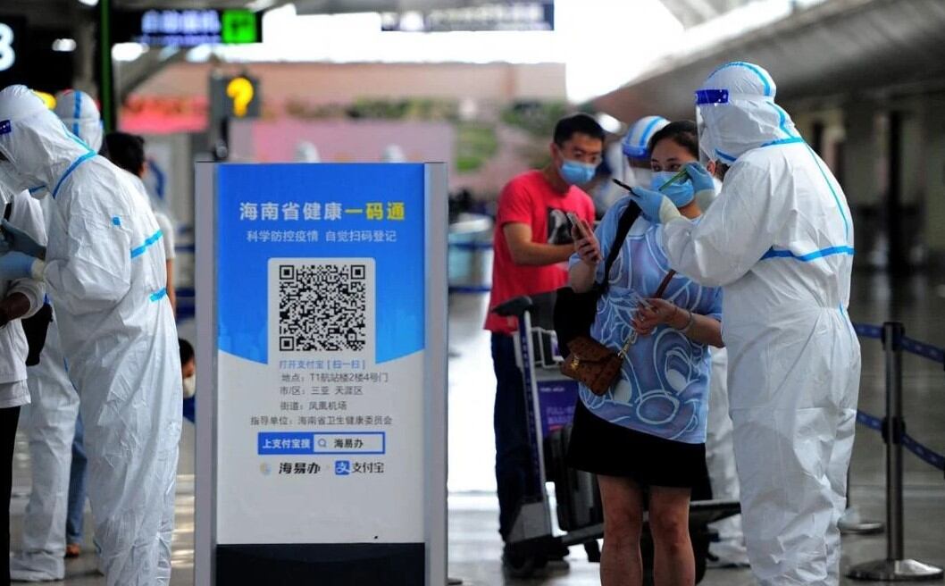 Los especialistas piensan que la musaraña, un pequeño mamífero con un hocico puntiagudo, podría ser el animal que transmitió el virus a los humanos y contagiara a 35 personas en el gigante asiático. Foto: AFP.