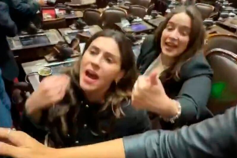Un momento de la tensión entre diputados en la sesión en Diputados
