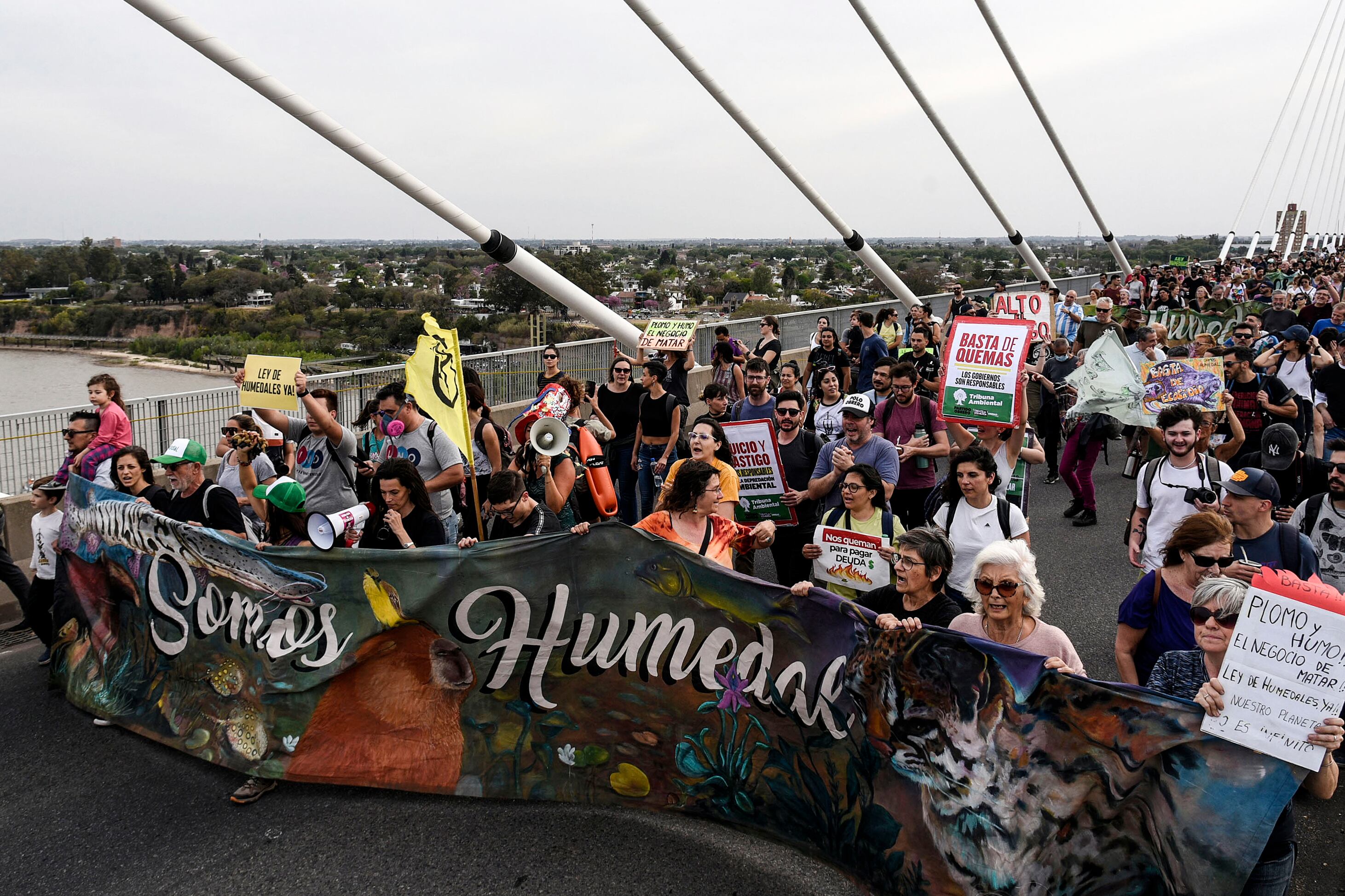 El ambientalismo santafesino en estado de alarma. 
