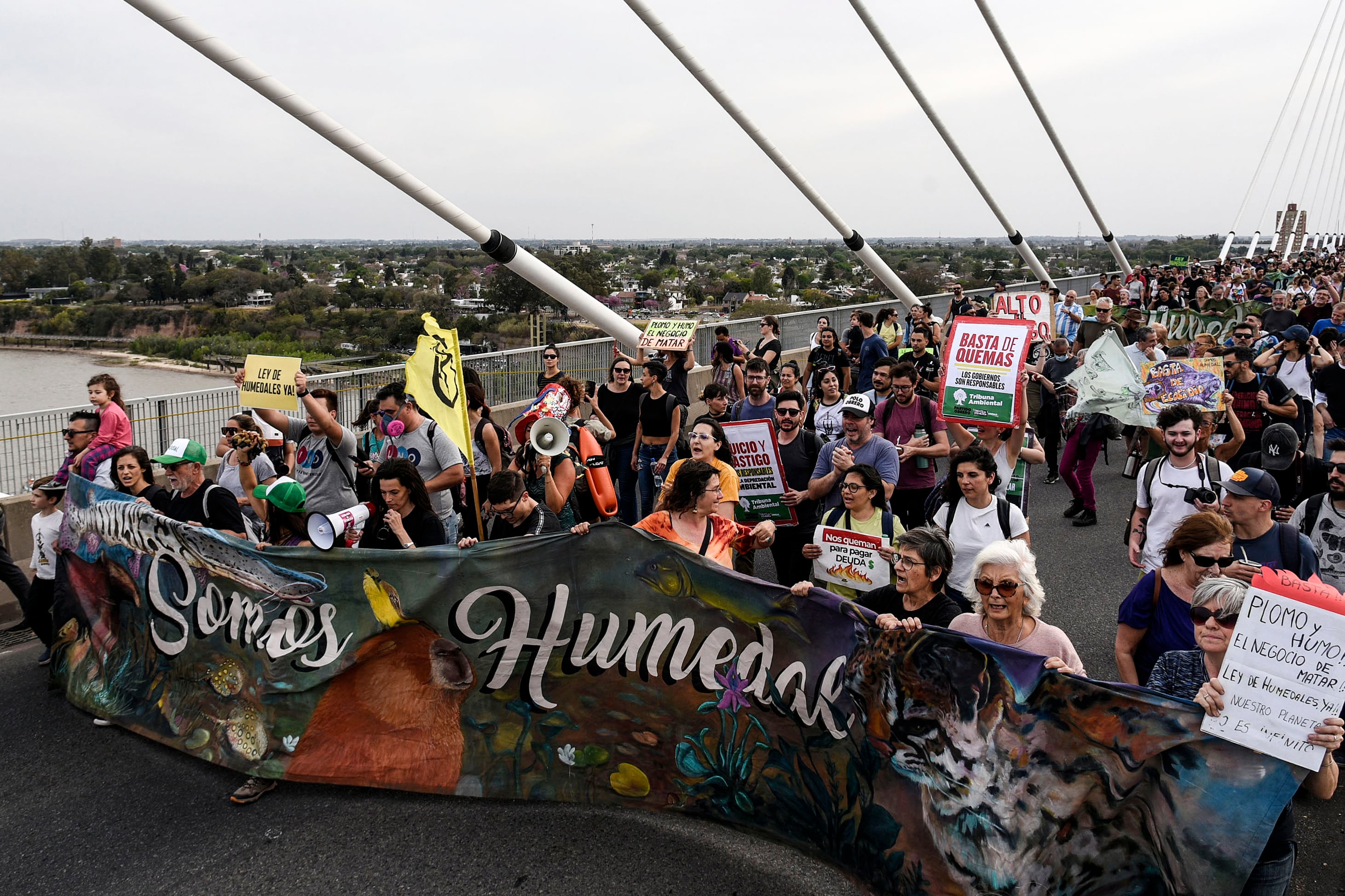 El ambientalismo santafesino en estado de alarma.