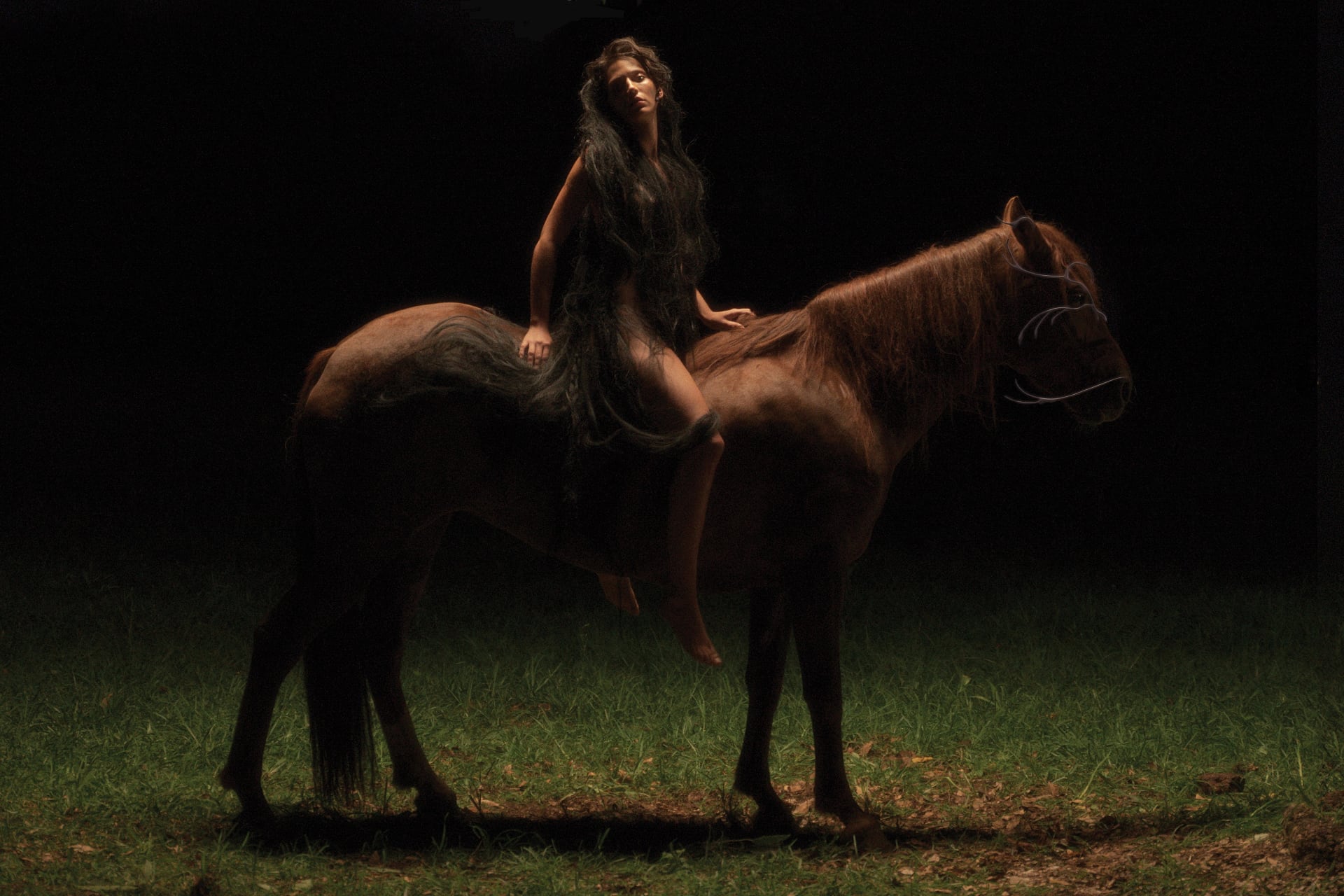 El tercer disco de la artista salteña trae doce canciones que arman una road movie agreste de la que ya cortó varios clips