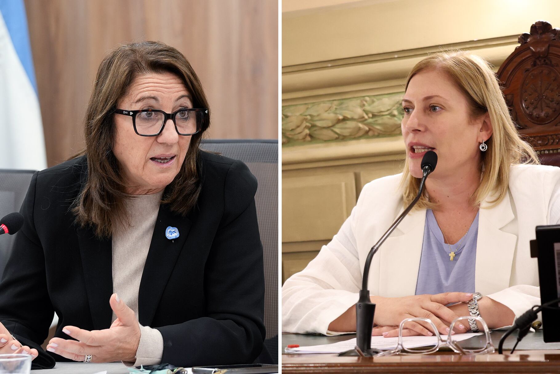 La socialista Fein y Scaglia del PRO, avalan el nuevo frente federal.