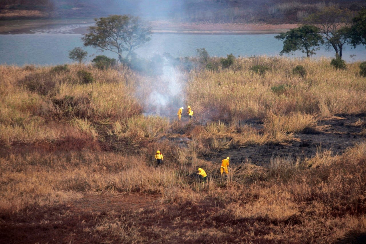 Los incendios tienen a profundizar el desequilibrio ecosistémico.