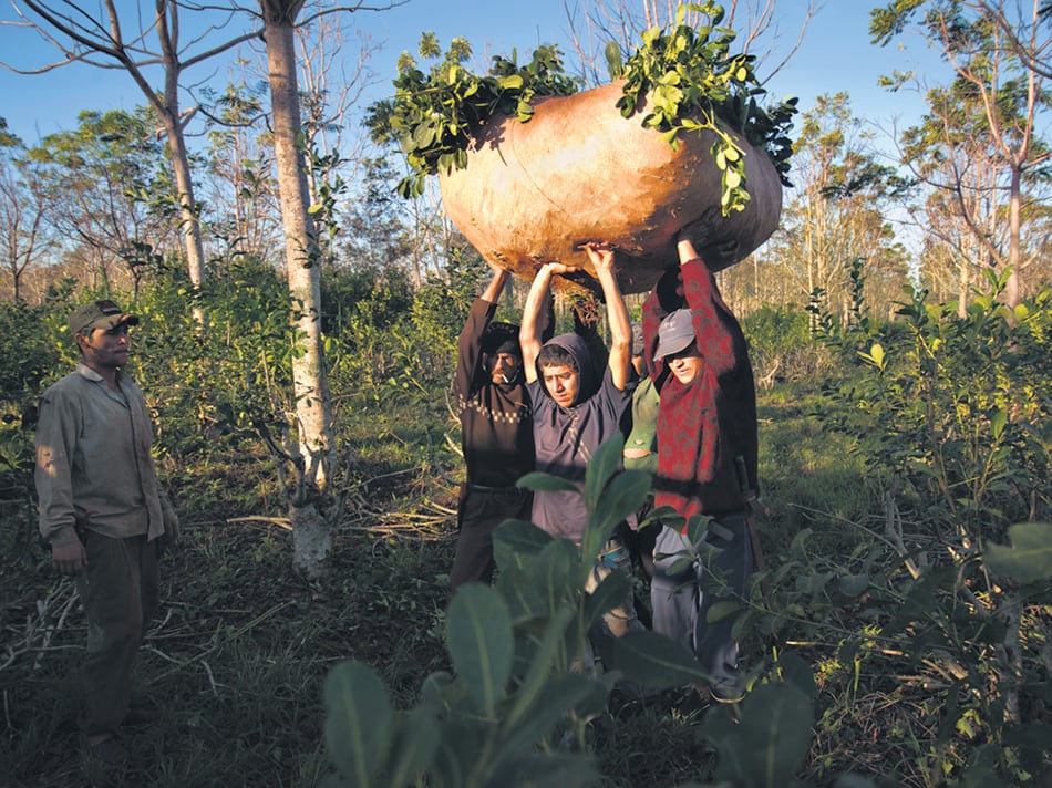 Macri eliminó el Registro Nacional de Trabajadores Rurales y Agrarios.