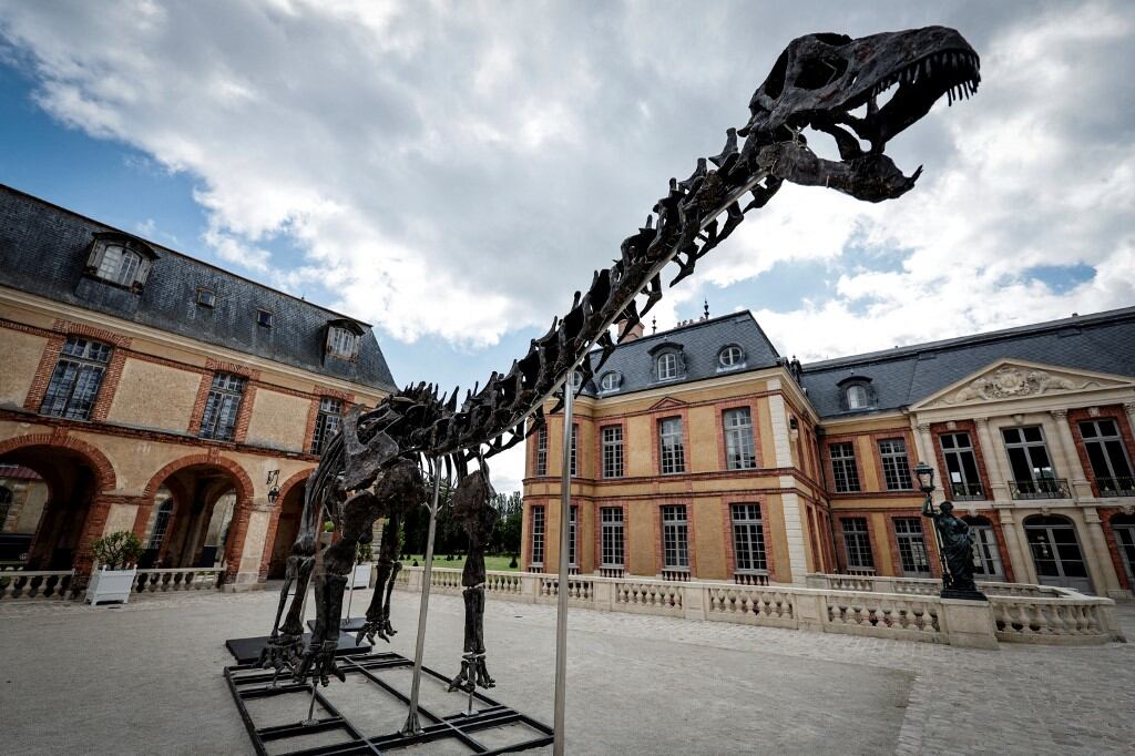 El fósil, bautizado Vulcain, se exhibe a partir de este sábado y hasta su subasta en el invernadero del castillo Dampierre-en-Yvelines, en las afuerad de París