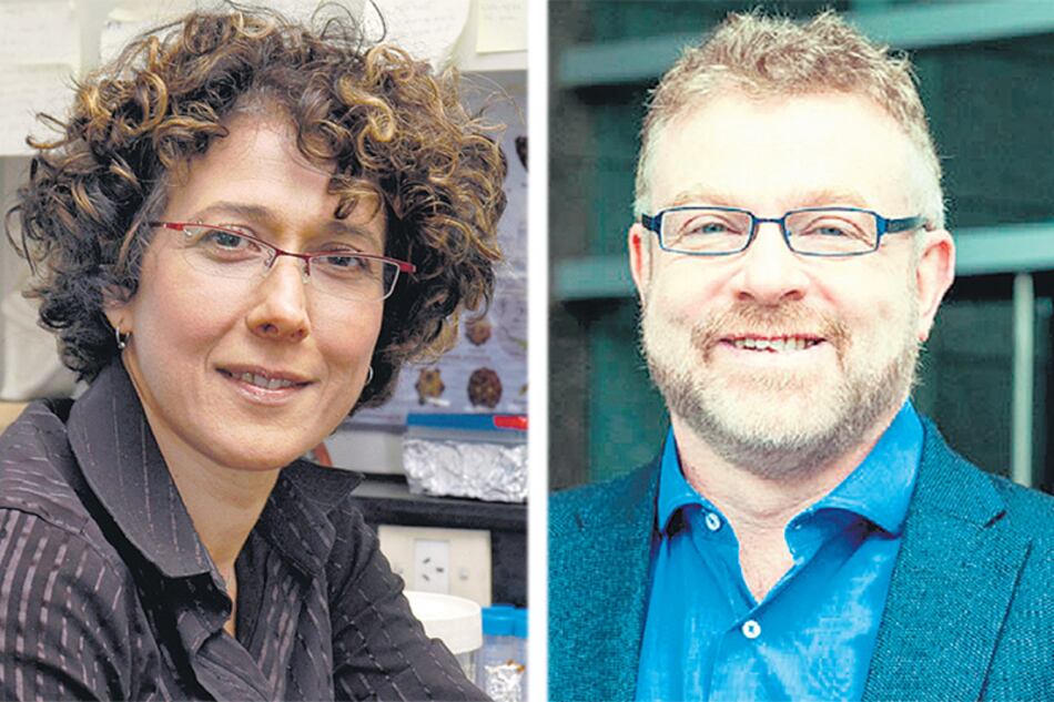 Andrea Gamarnik y Gabriel Rabinovich.