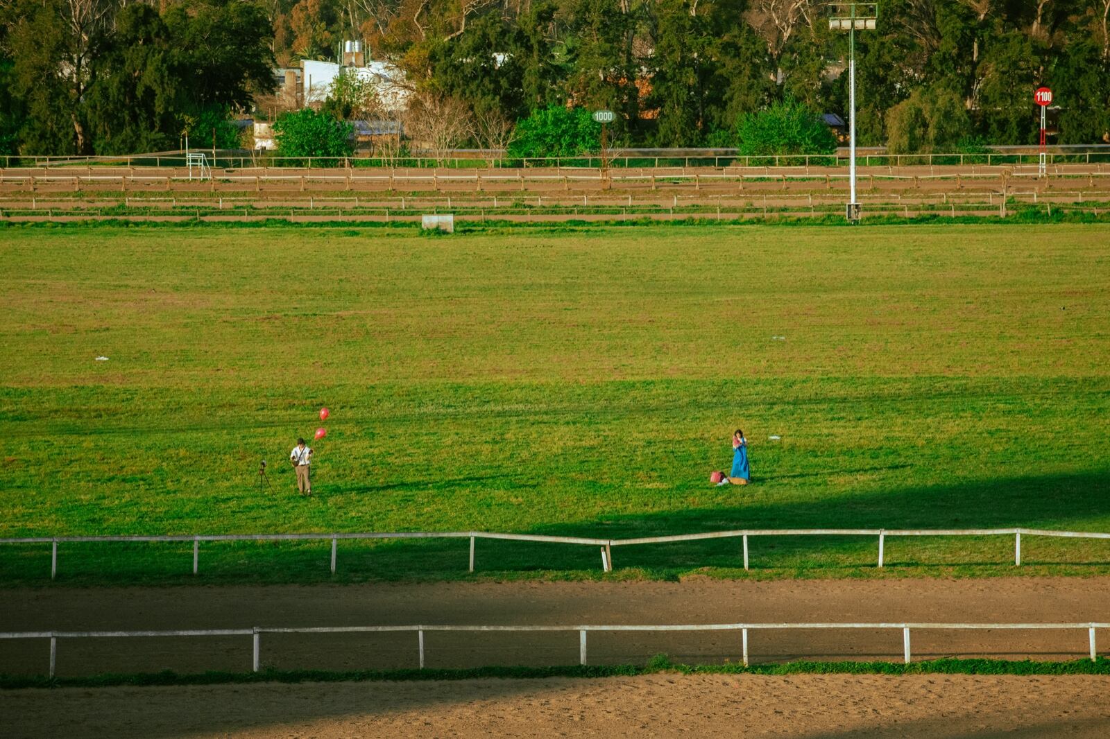 Una obra que desafía la forma convencional de mirar.