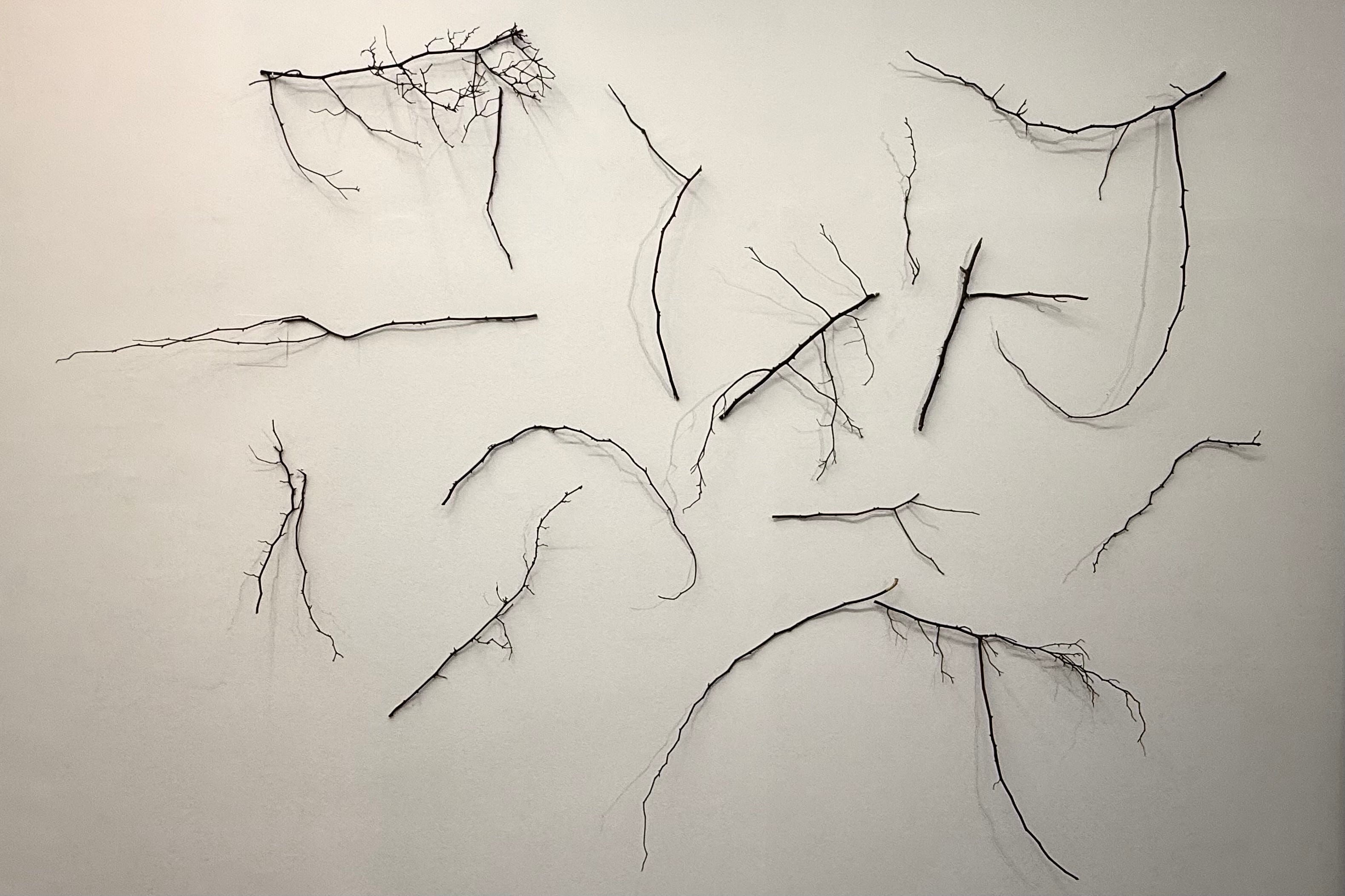 "Esto es algo", instalación con ramas y dibujos, de Inés Drangosch. Abajo, "La cocina", de Drangosch.