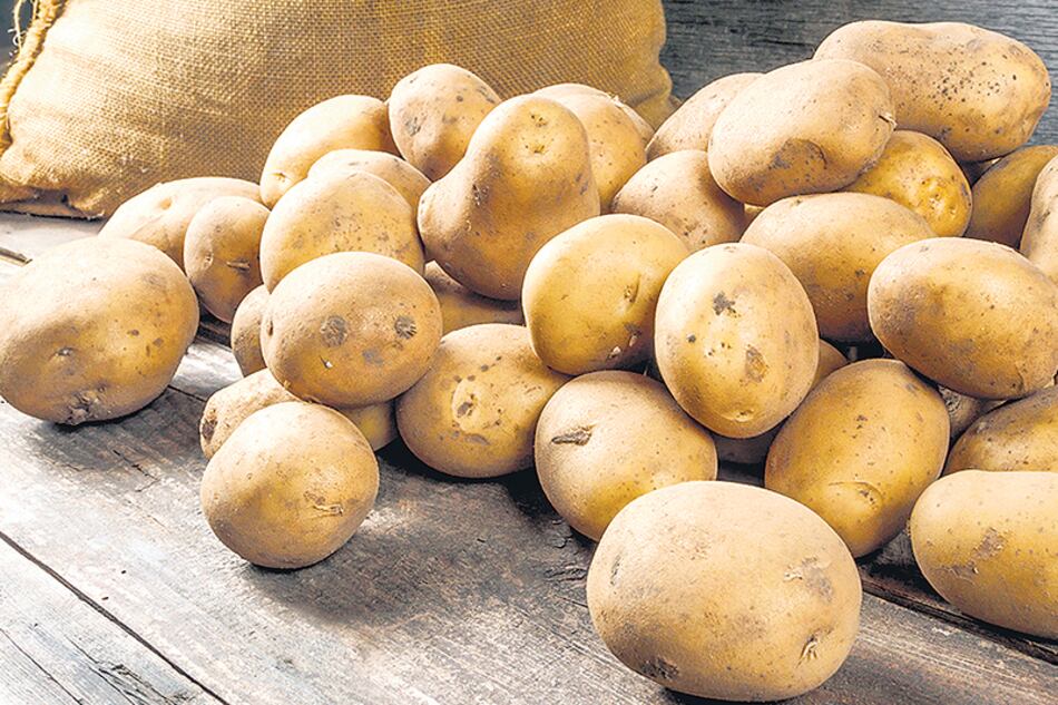 La papa transgénica ya tiene allanado el camino a las verdulerías.