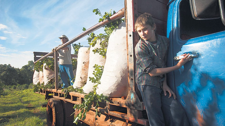 La no escolarización se quintuplica entre los chicos que trabajan respecto de los que no.