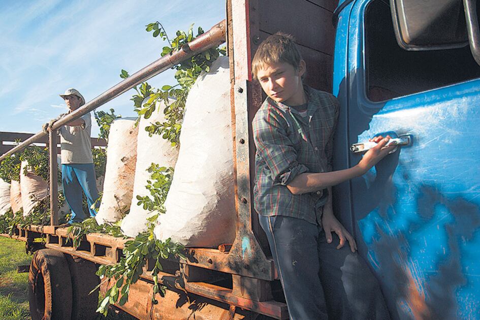 La no escolarización se quintuplica entre los chicos que trabajan respecto de los que no.