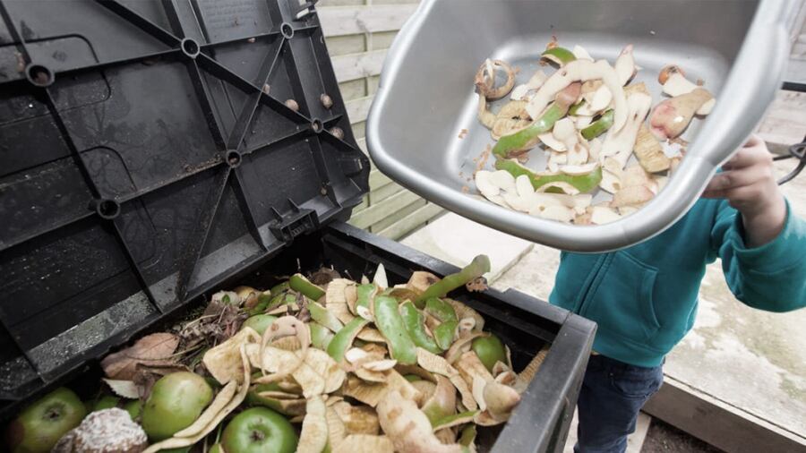 Frutas y verduras están entre los productos que más se desperdician.
