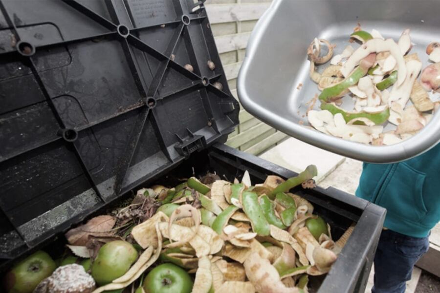 Frutas y verduras están entre los productos que más se desperdician.