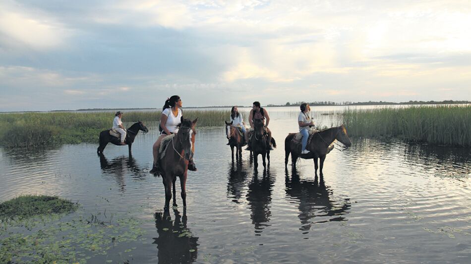 A caballo por los esteros, una de las aventuras del gran humedal correntino.