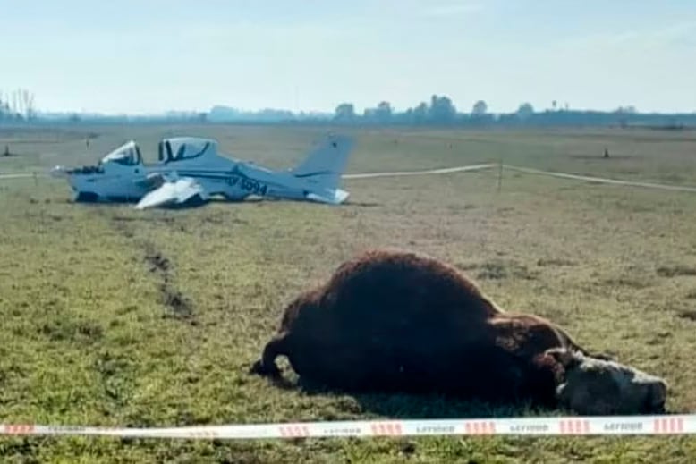 La desoladora imagen del accidente.