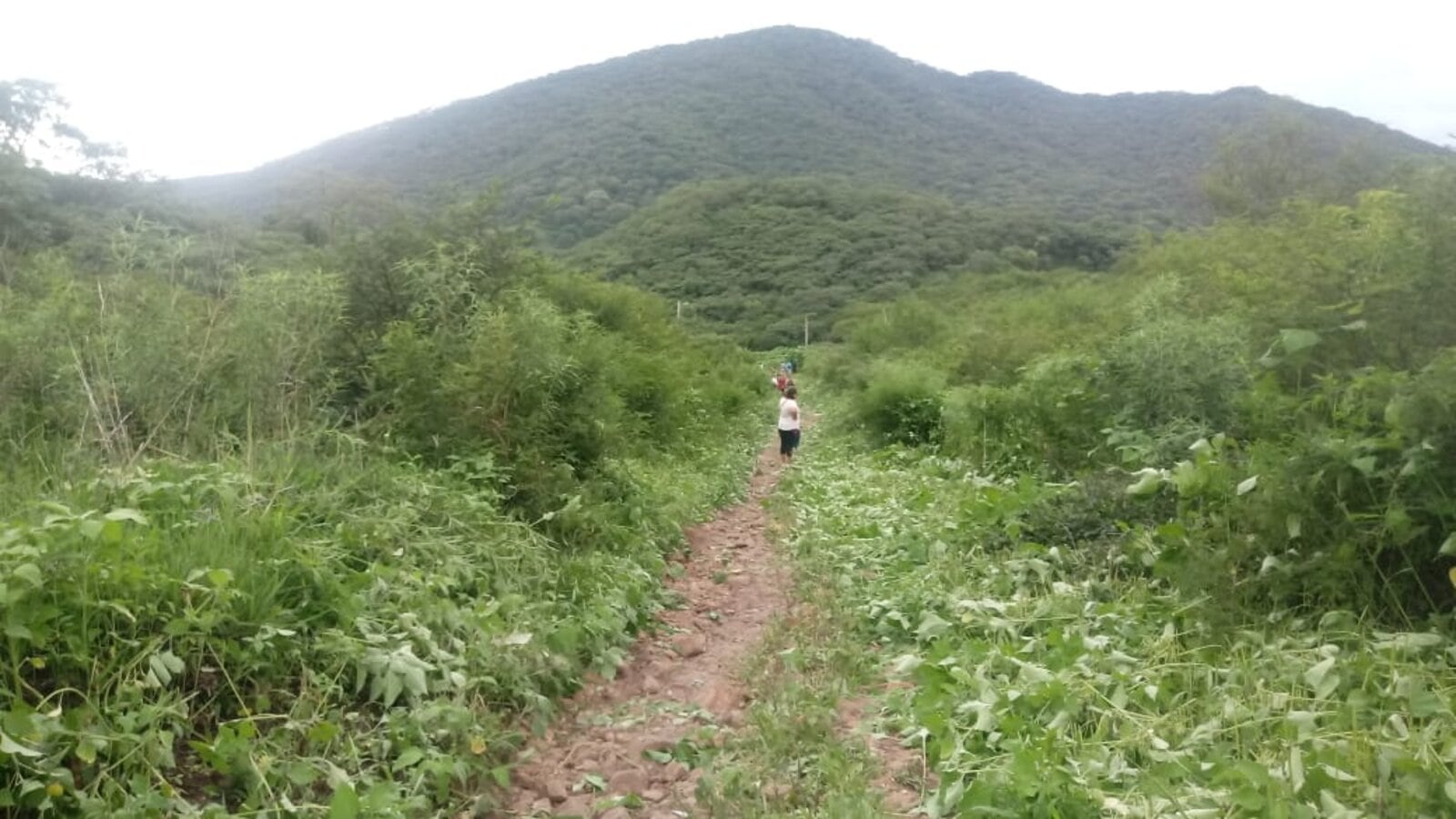 Los vecinos limpiaron el descampado del ataque
