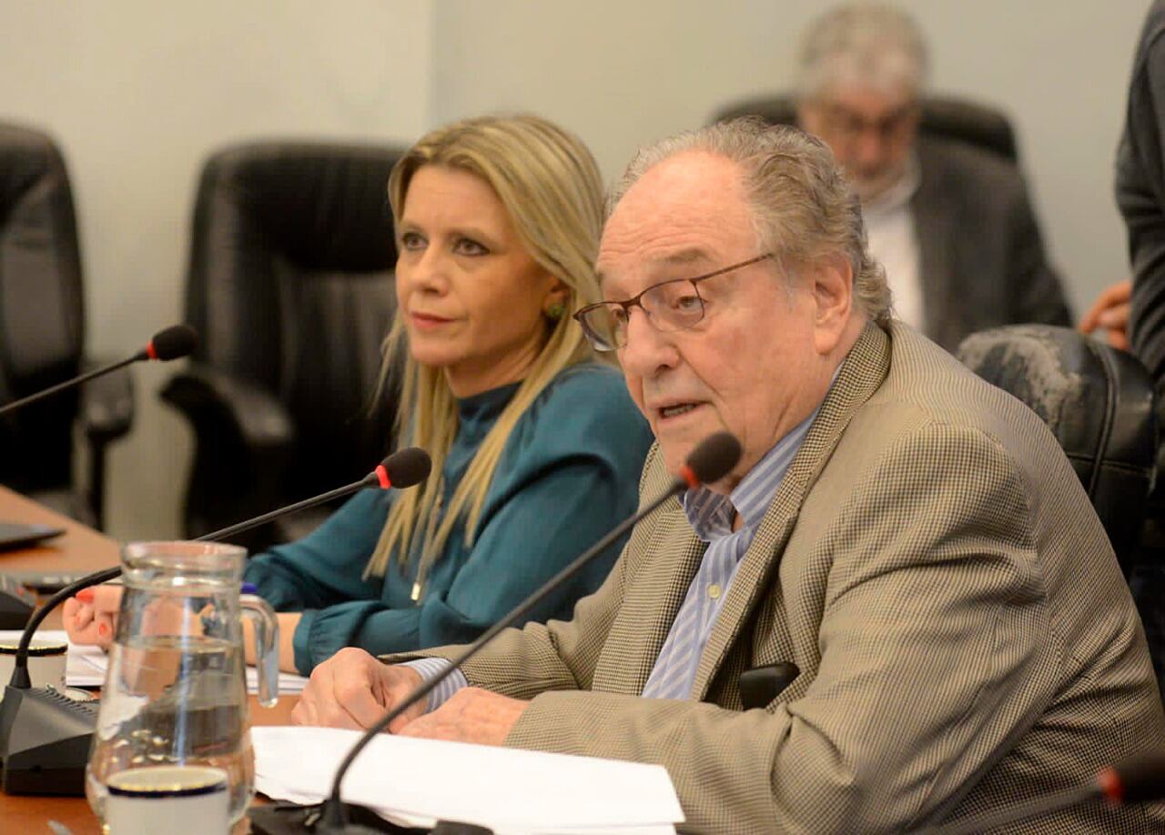 En la comisión de Presupuesto, presidida por Carlos Heller (FdT), la reunión arrancó con la exposición de la subsecretaria de Ingresos Públicos, Claudia Balestrini.