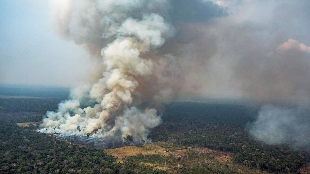 La tala y quema de terrenos amazónicos es una práctica común que permite preparar la tierra para las siembras. 