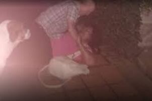 Foto capturada por la hija de la pareja