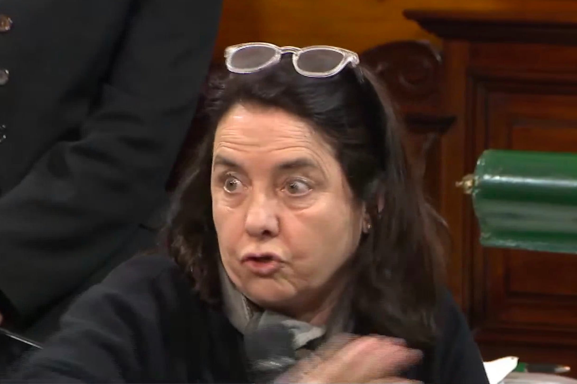 La senadora oficialista Carmen Álvarez Rivero se opuso al dictamen favorable del tratamiento de la ley de emergencia pediátrica