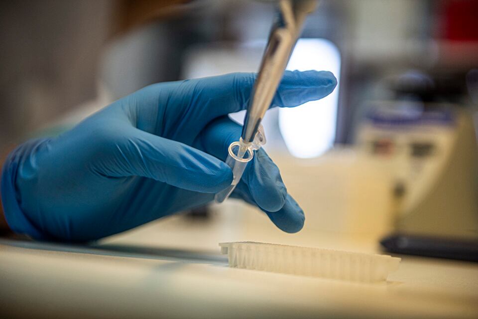 Se toman en cuenta todos los análisis para ir tomando decisiones.