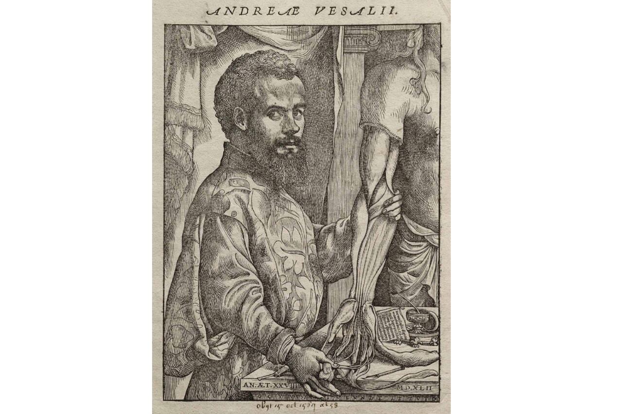 El anatomista flamenco Andrea Vesalio