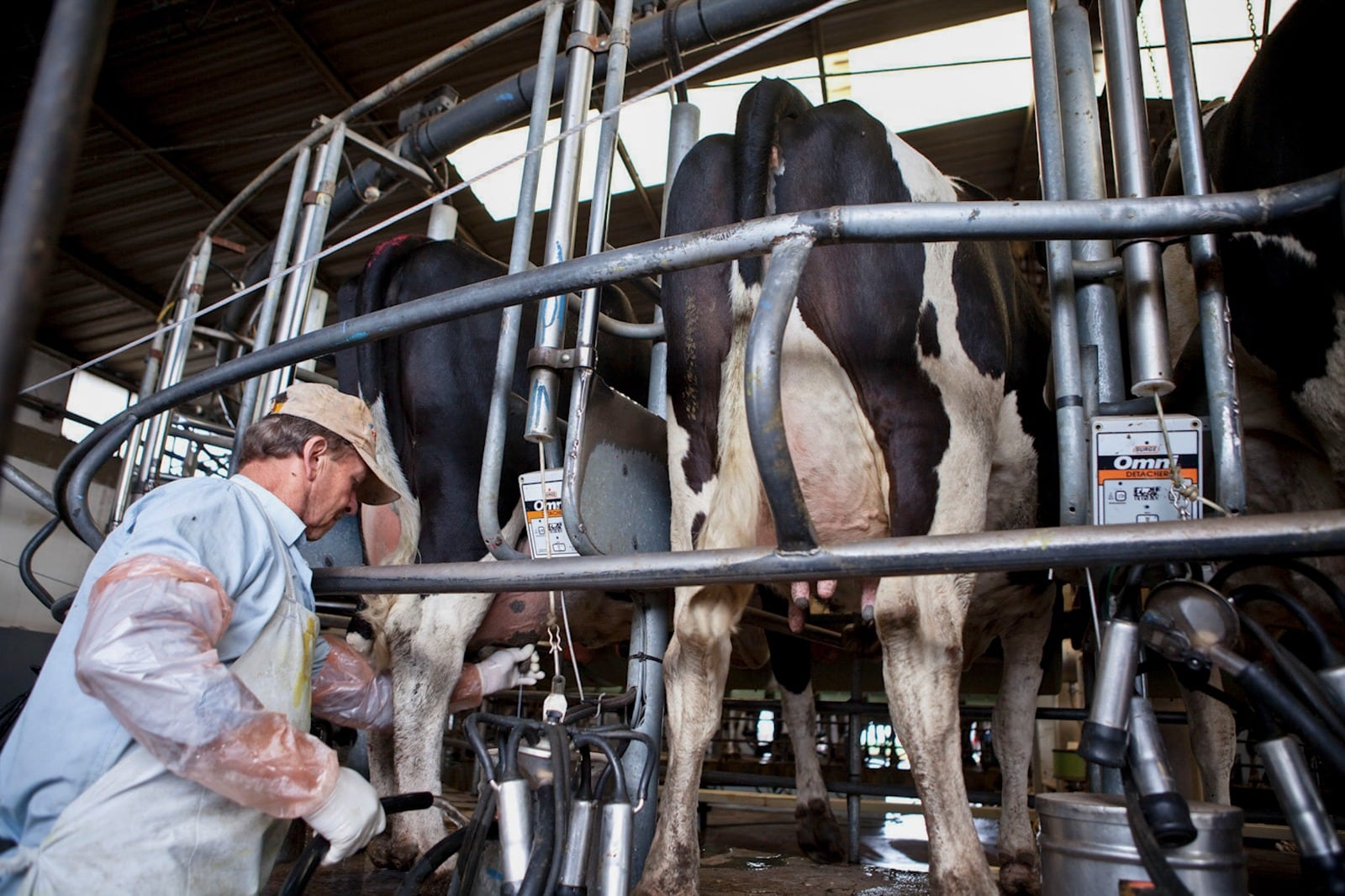 La baja en el consumo de leche es un síntoma extremo de la crisis. 