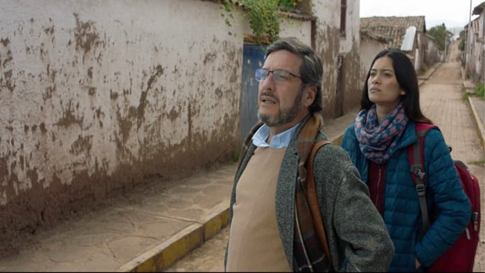 Se han convocado a 17 líneas de estímulos económicos