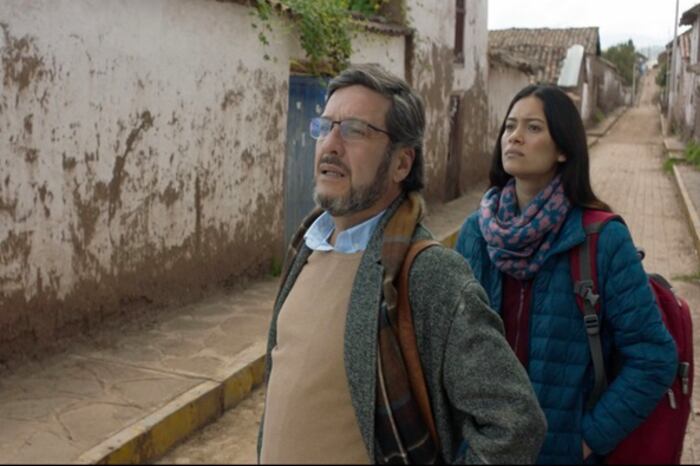 Se han convocado a 17 líneas de estímulos económicos