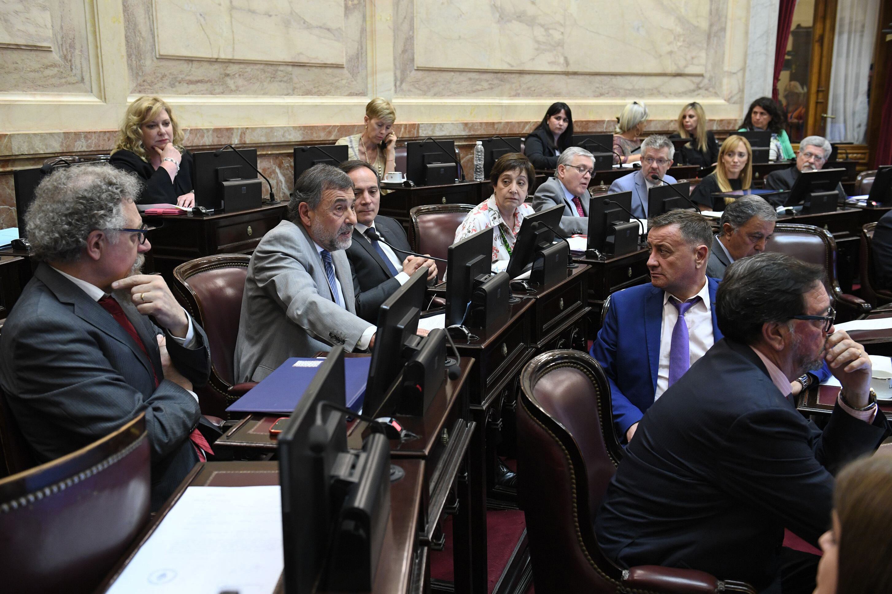 El Senado aprobó una declaración de repudio al golpe de Estado en Bolivia.