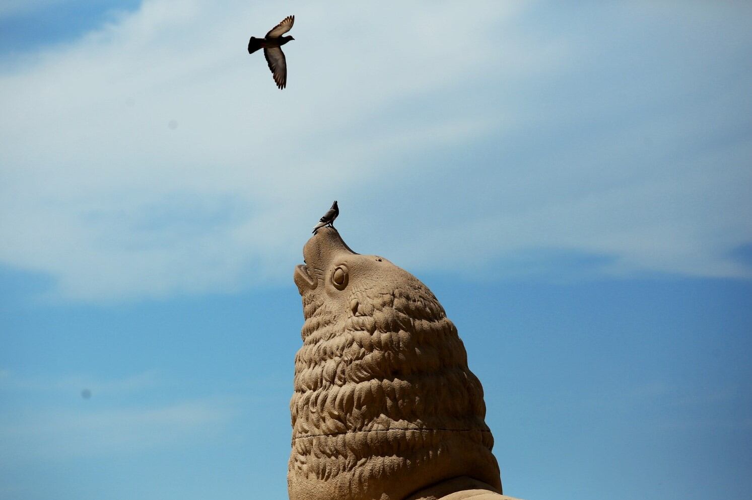 Los lobos marinos siguen pero decenas de lugares emblemáticos ya no existen en la actual Mar del Plata, la autoproclamada Ciudad Feliz