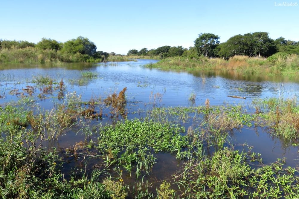 Victoria es una ciudad con pocos habitantes y mucha extensión: tiene 400.000 hectáreas de humedales.