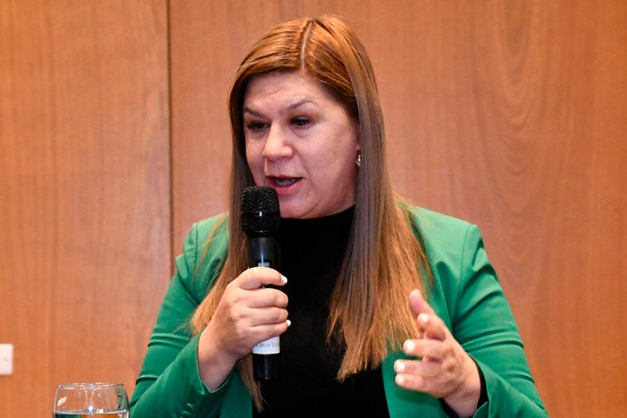 La vicegobernadora Gloria Ruiz aseguró que se va a defender.