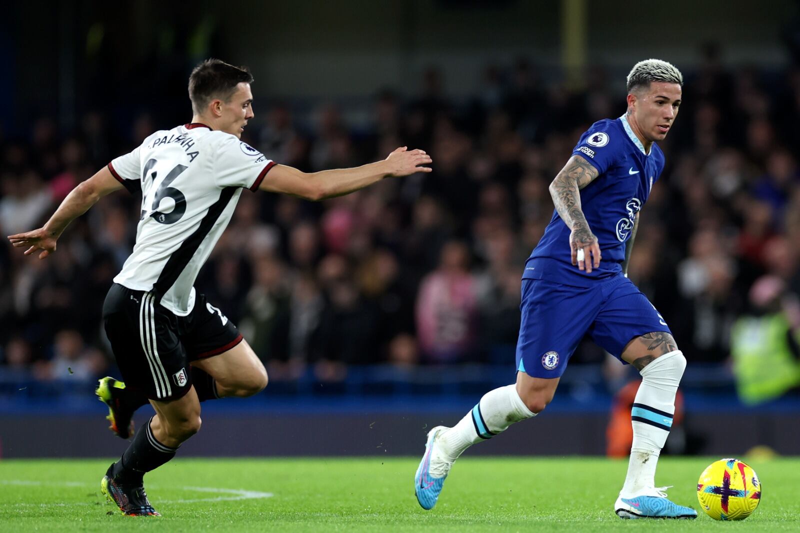 Enzo Fernández se le escapa al portugués Joao Palhinha, muy buen jugador del Fulham