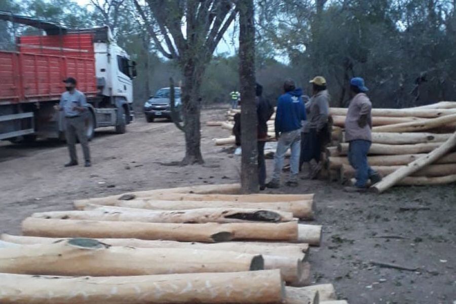 Uno de los operativos de secuestro de palo santo.