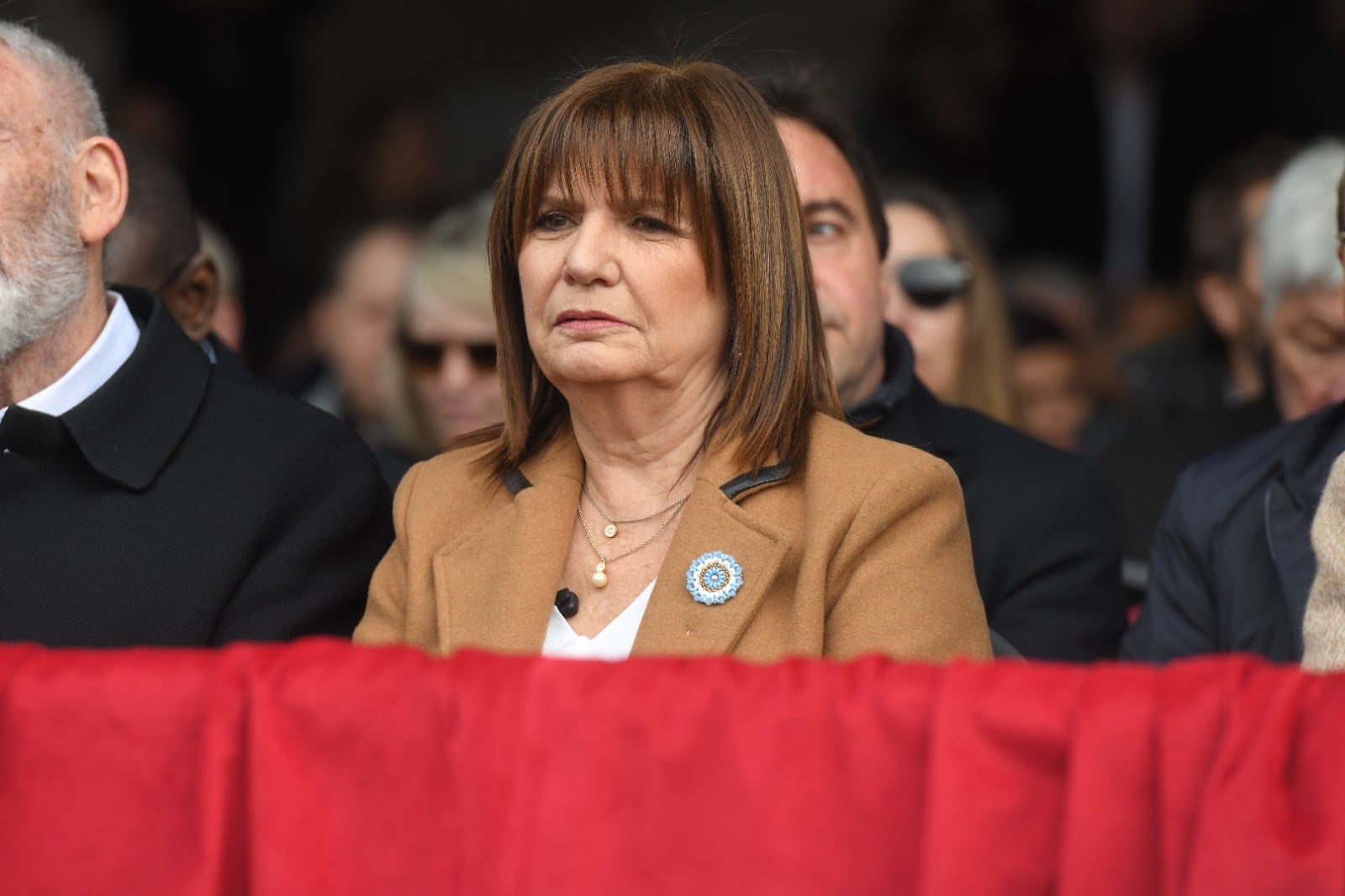 Patricia Bullrich fundó el IEES durante el gobierno de Cambiemos.