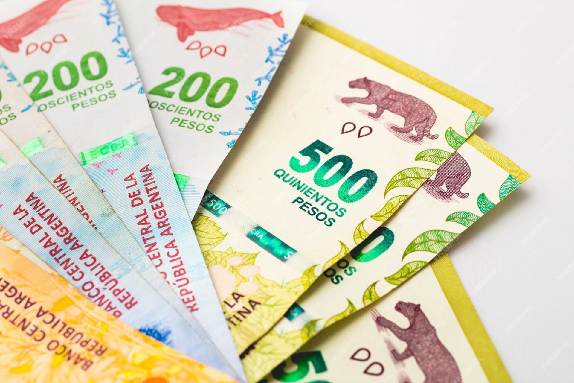 Calendario de pagos Anses mayo 2024 