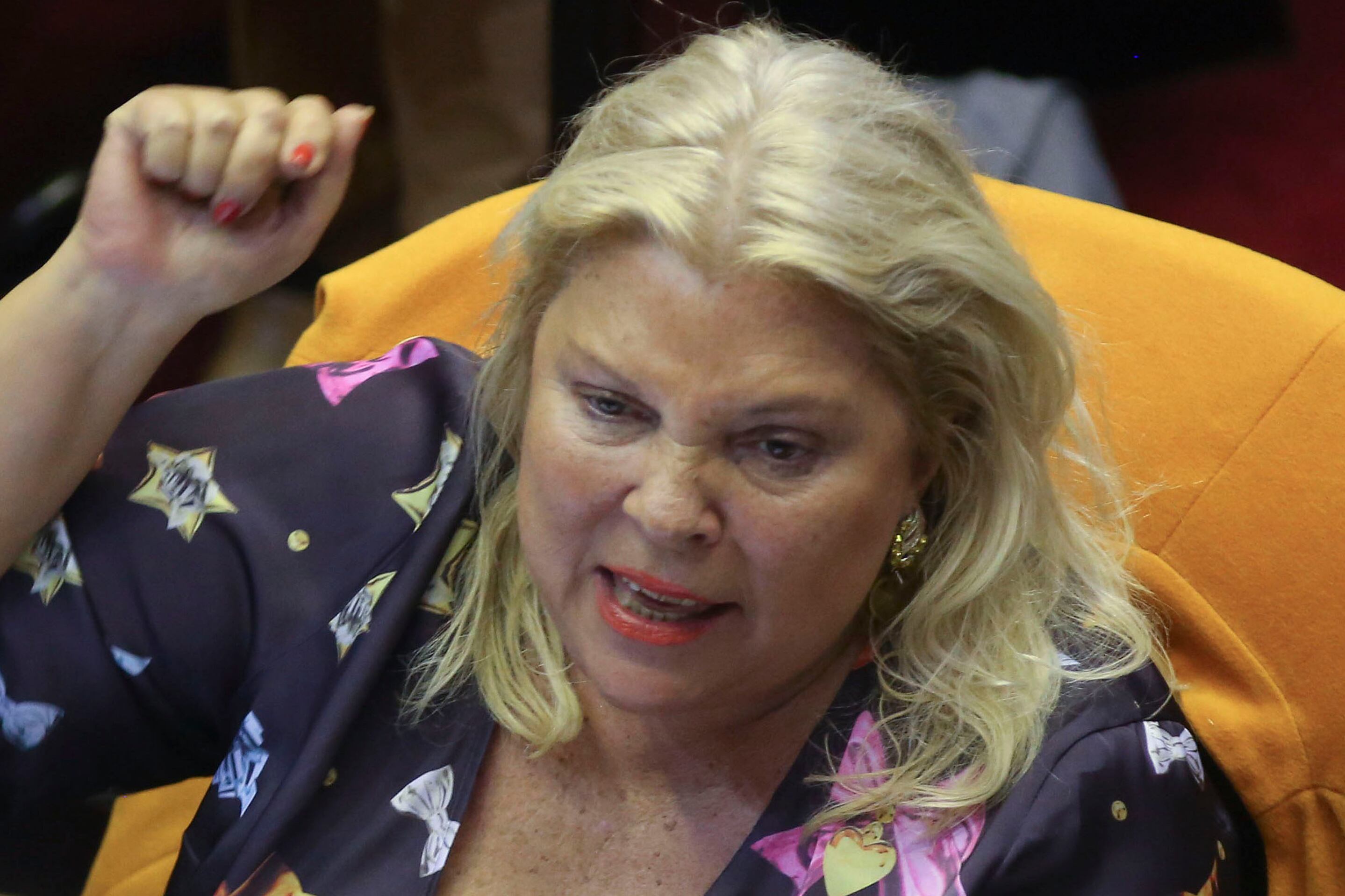 La diputada Elisa Carrió intentó desplazar a un juez de la Cámara de Casación.