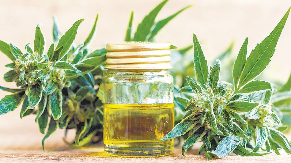 La Ley 27.350, del uso medicinal del cannabis, de 2017, aún no se cumple cabalmente.