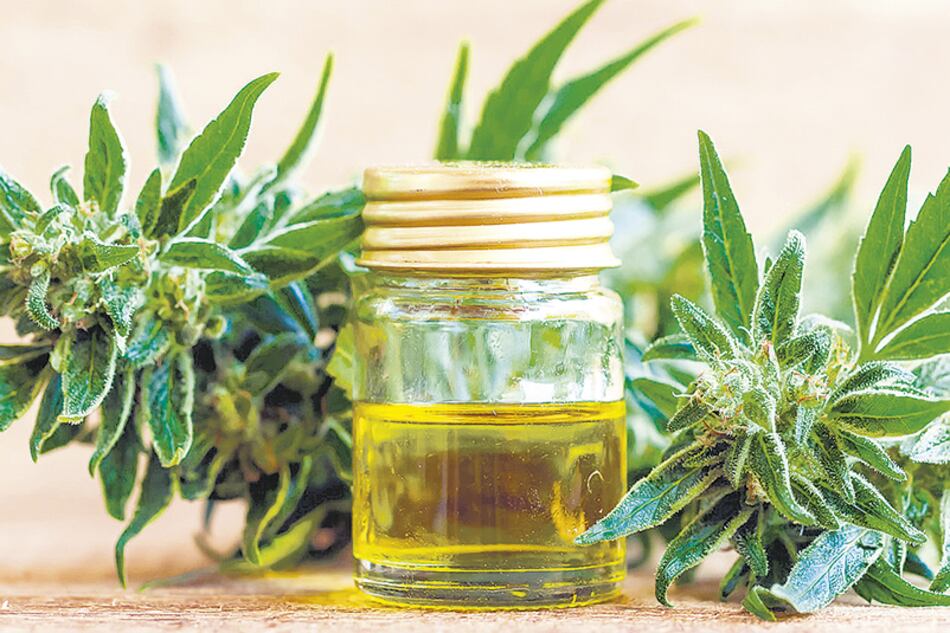 La Ley 27.350, del uso medicinal del cannabis, de 2017, aún no se cumple cabalmente.