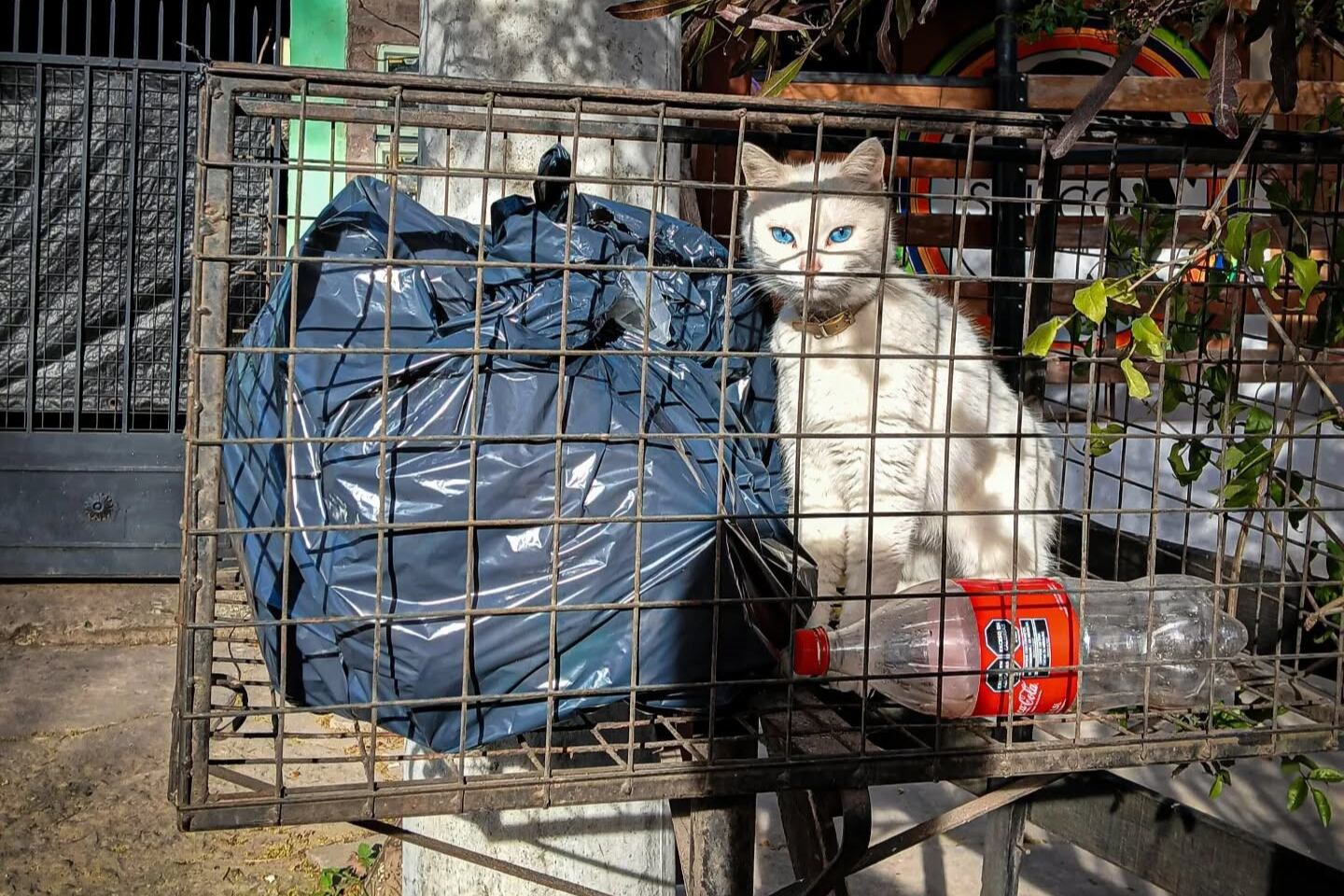 Mirá adonde dejás la basura, por @martinfelipeph.