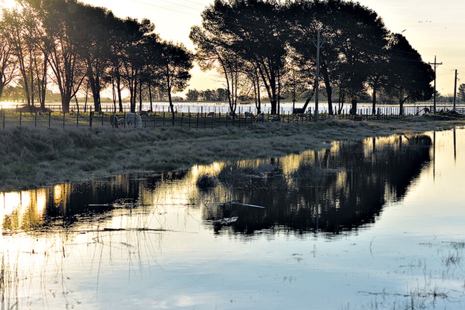 Los campos y los caminos bonaerenses, inundados desde hace meses.