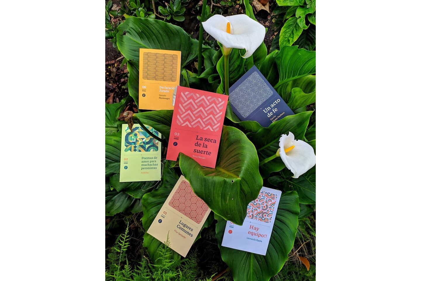 AMBA tendrá 41 títulos, uno por cada distrito. Foto: Carlos Alvarez. 