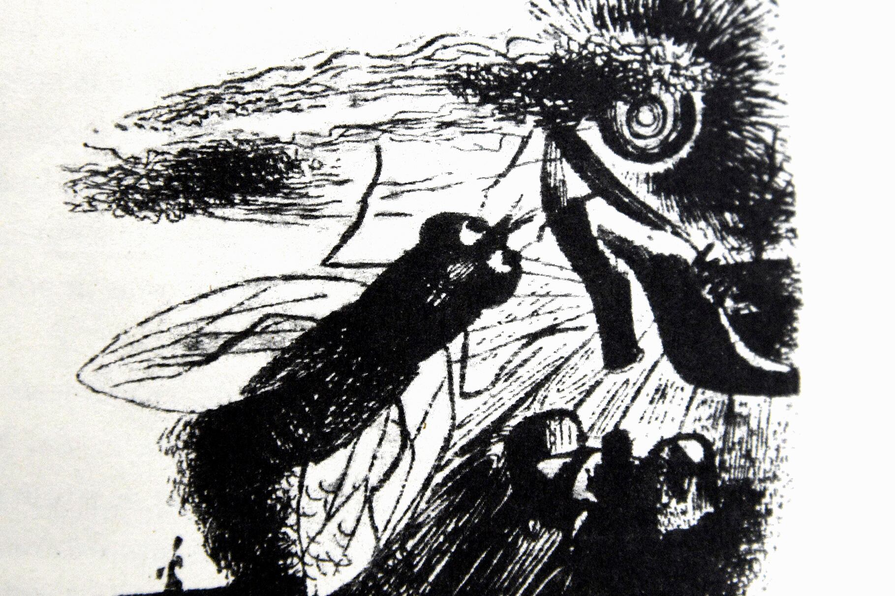 Un dibujo de su amigo Leónidas Gambartes.