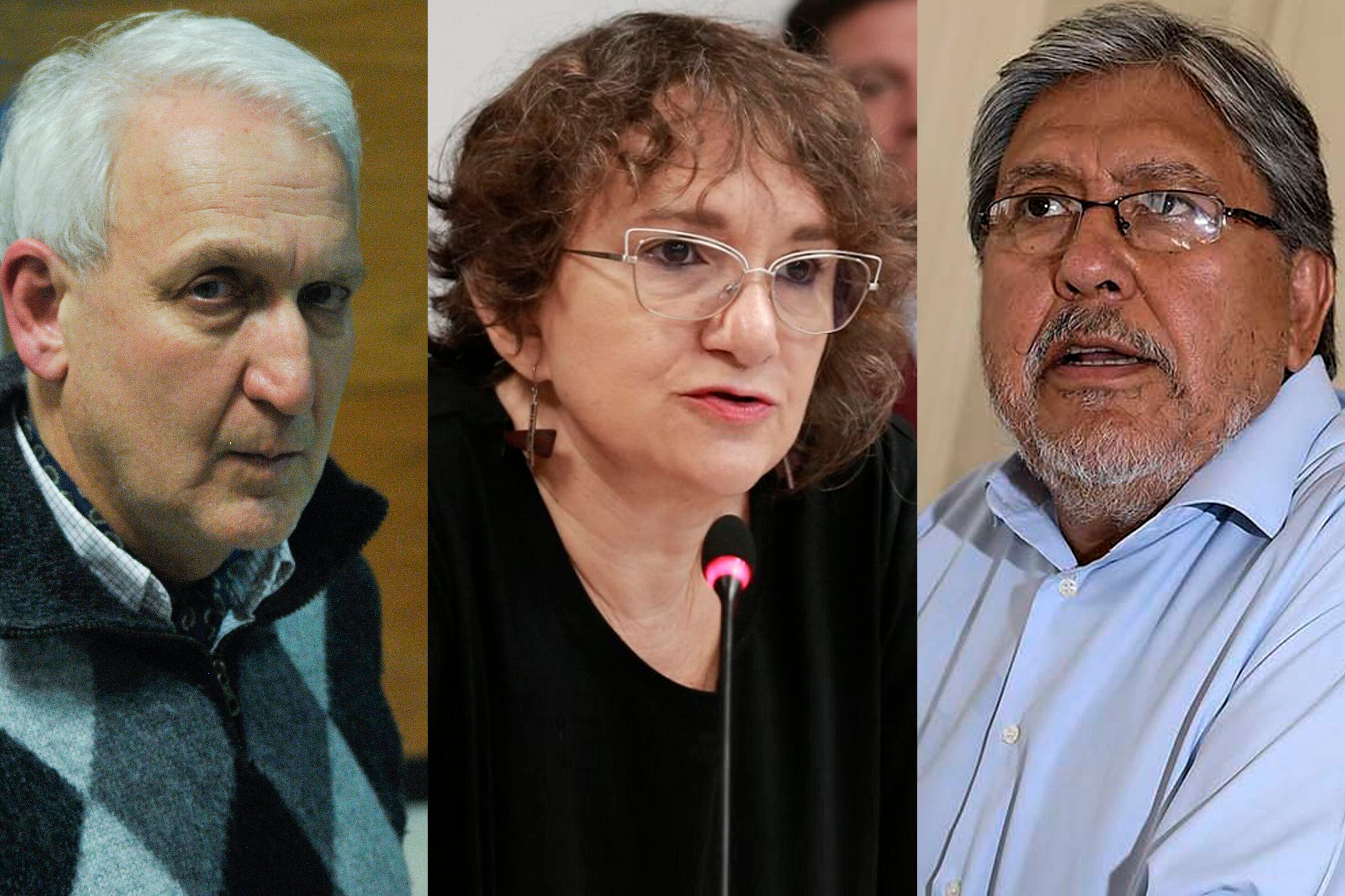 Gabriel Fuks, Mara Brawer y el Chino Navarro participaron del encuentro.