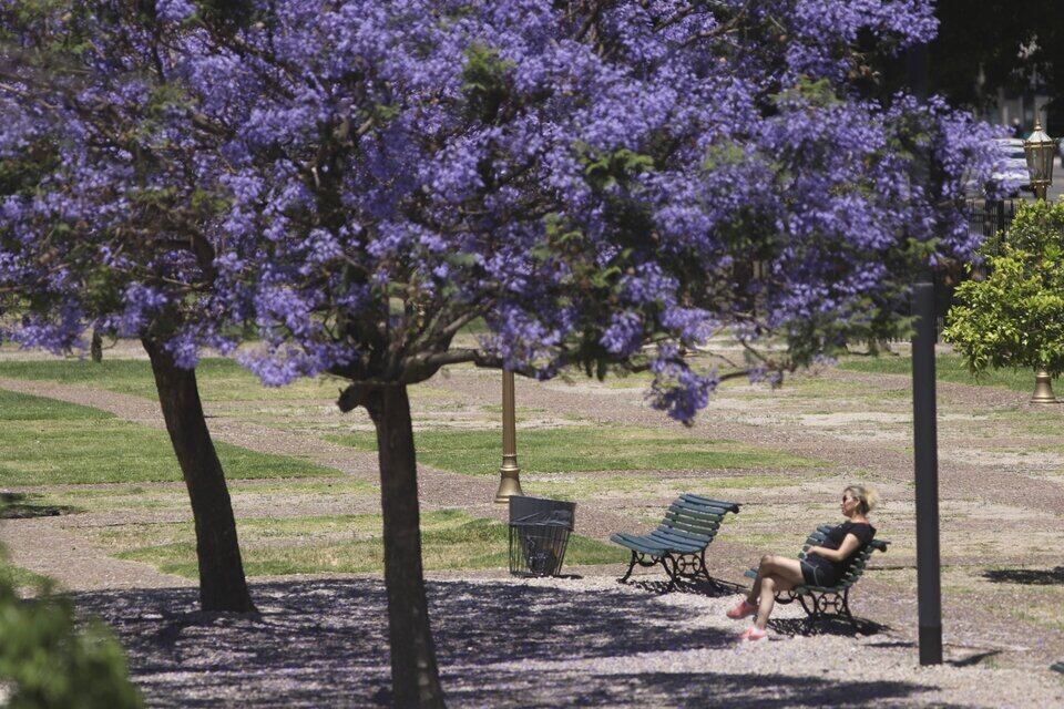 Cuáles son las fechas de feriados, fines de semana largos y días no laborables de 2024