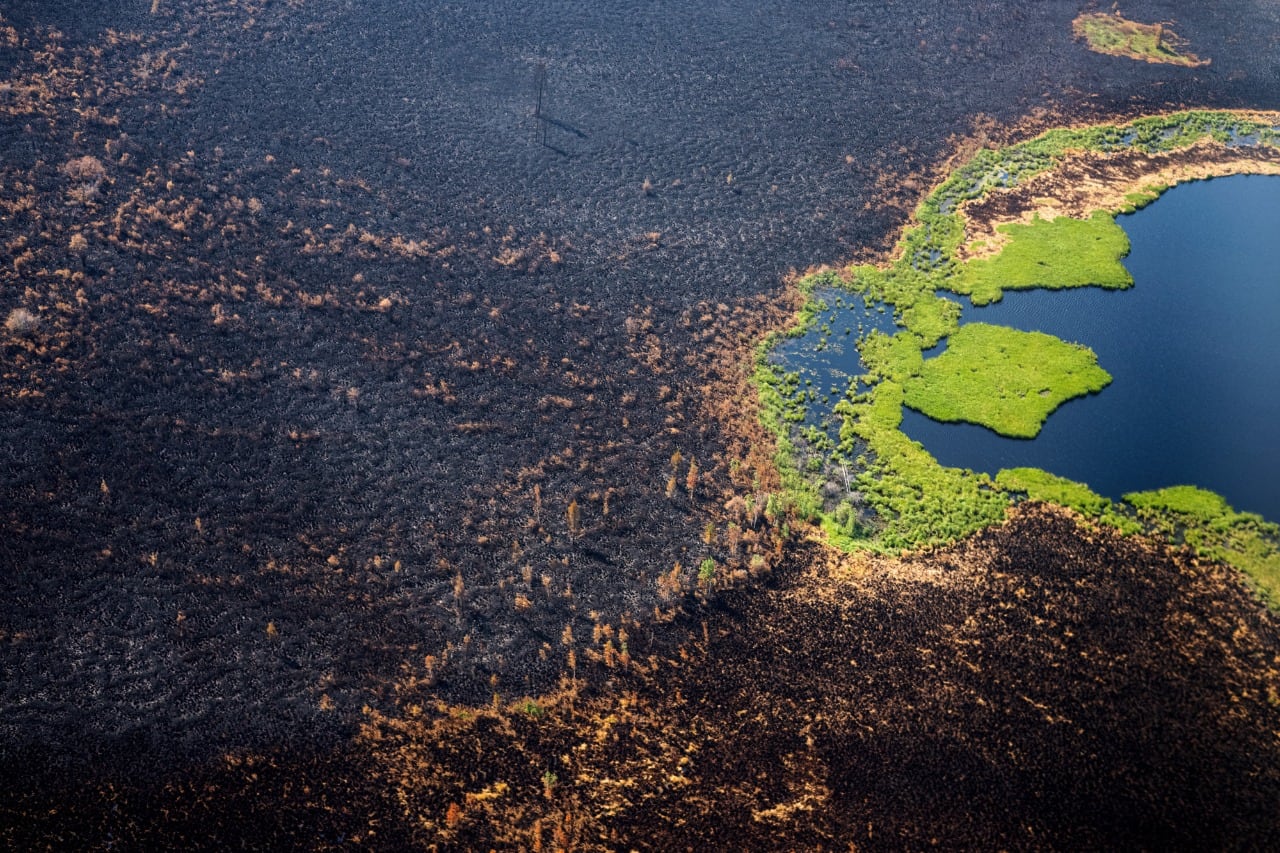 Una foto aérea muestra los bosques quemados en Yakutia.