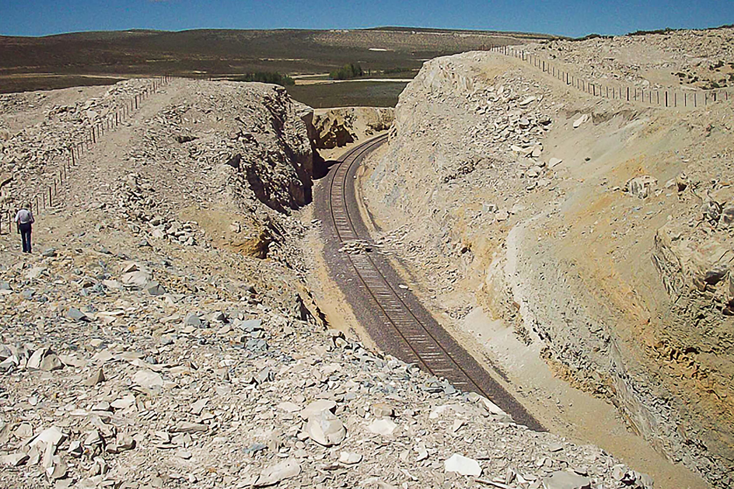 Habitó en la patagonia y perteneció a un grupo de peces óseos que vivieron entre el Jurásico temprano y el Cretácico tardío.